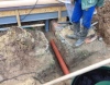 ЛОС для дачи в Чепелёво